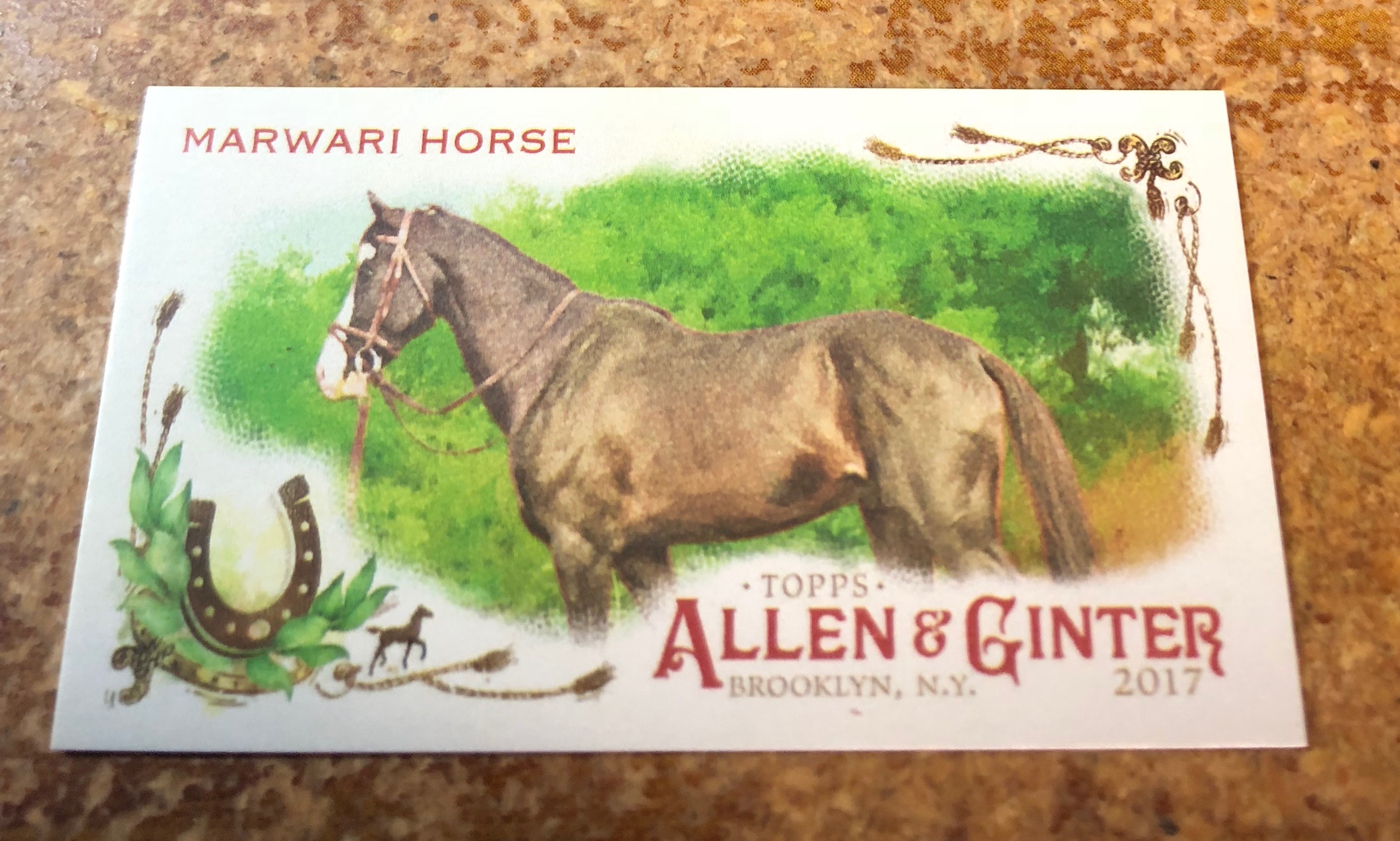 2017 Topps Allen and Ginter Mini Horse in the Race #HR17 Marwari Horse
