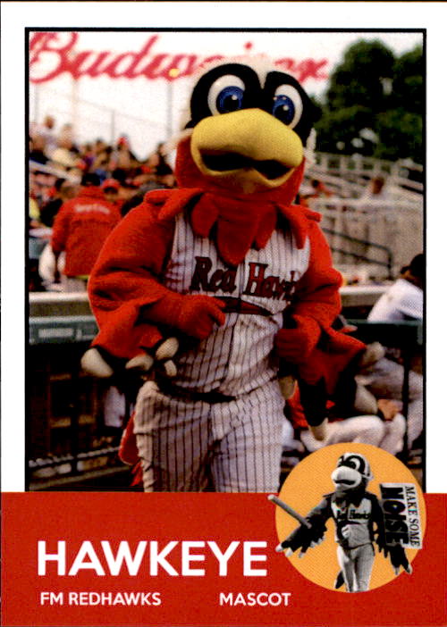 2016 FargoMoorhead RedHawks Team Issue 28 Hawkeye MASCOT NM