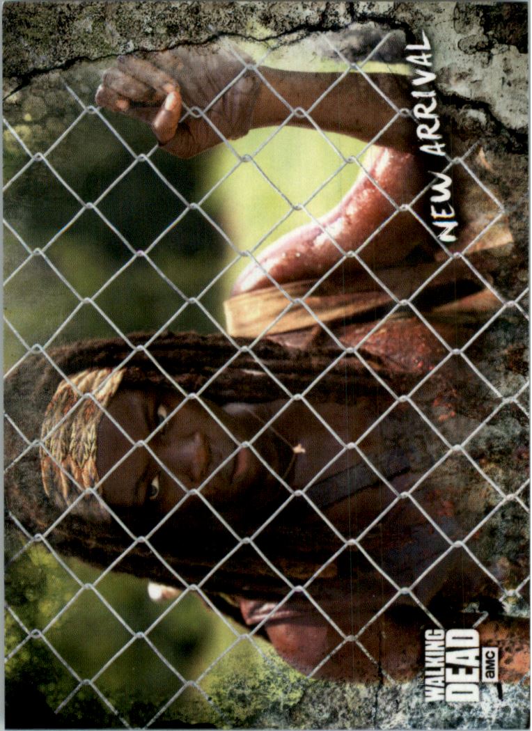 2018 Topps The Walking Dead Road to Alexandria #39 New Arrival