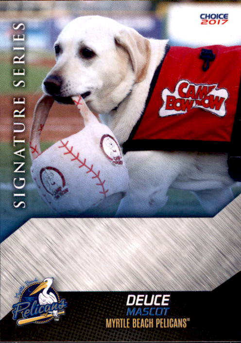 2017 Myrtle Beach Pelicans Choice #37 Mascot Deuce - NM Baseball Card | eBay