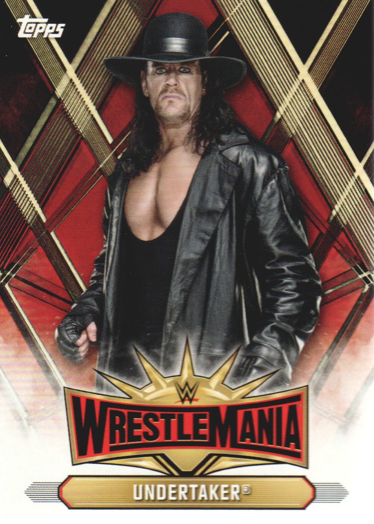 гробовщик читать. Undertaker 2000. гробовщик манга. гробовщик wwe. 4 гробовщика.