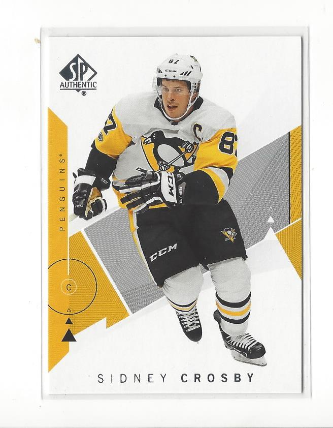 2018-19 SP Authentic #87 Sidney Crosby