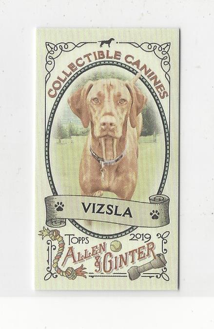 2019 Topps Allen and Ginter Mini Collectible Canines #CC3 Vizsla