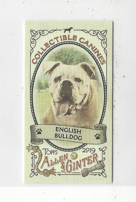 2019 Topps Allen and Ginter Mini Collectible Canines #CC11 English Bulldog