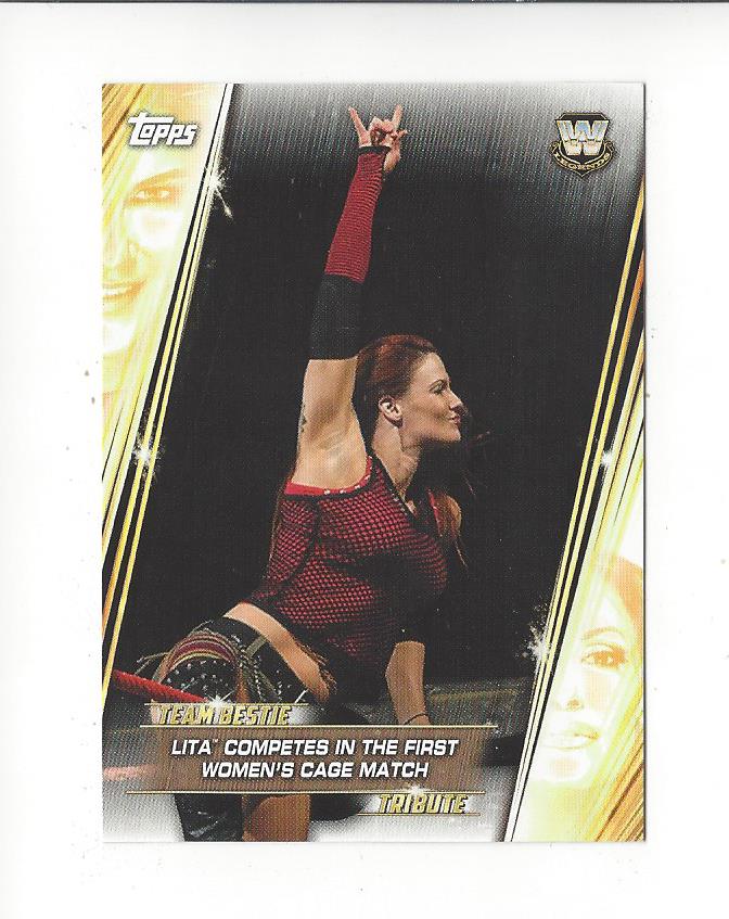 2019 Topps WWE Women's Division Team Bestie #TB15 Lita Competes in the First Women's Cage Match 11/24/03