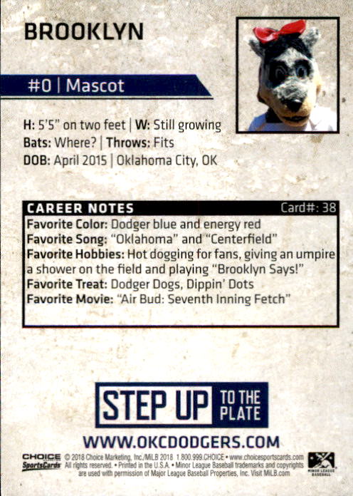 2015 Oklahoma City Dodgers Brooklyn Mascot