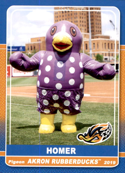 2019 Akron RubberDucks Grandstand 35 Homer MASCOT NM