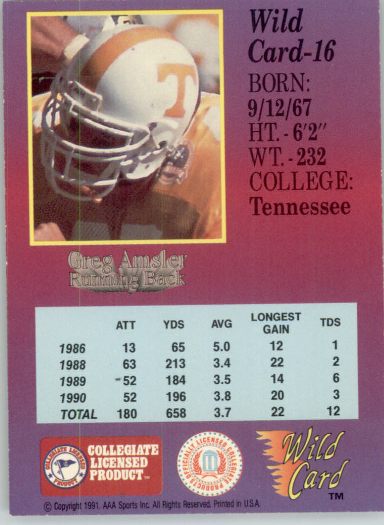 1991 Wild Card Draft 5 Stripe #16 Greg Amsler back image