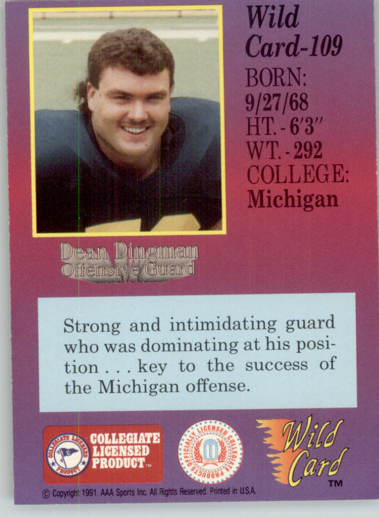 1991 Wild Card Draft Football "5 Stripe" Parallel Cards - Picture 133 of 171