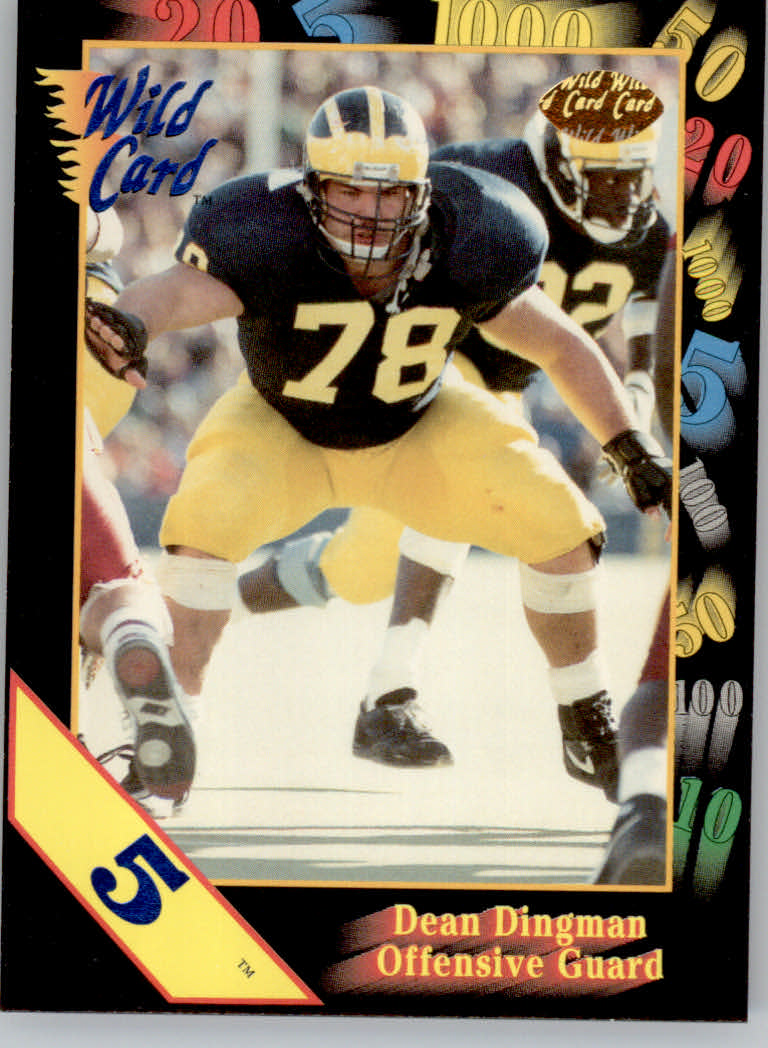 1991 Wild Card Draft Football "5 Stripe" Parallel Cards - Picture 132 of 171