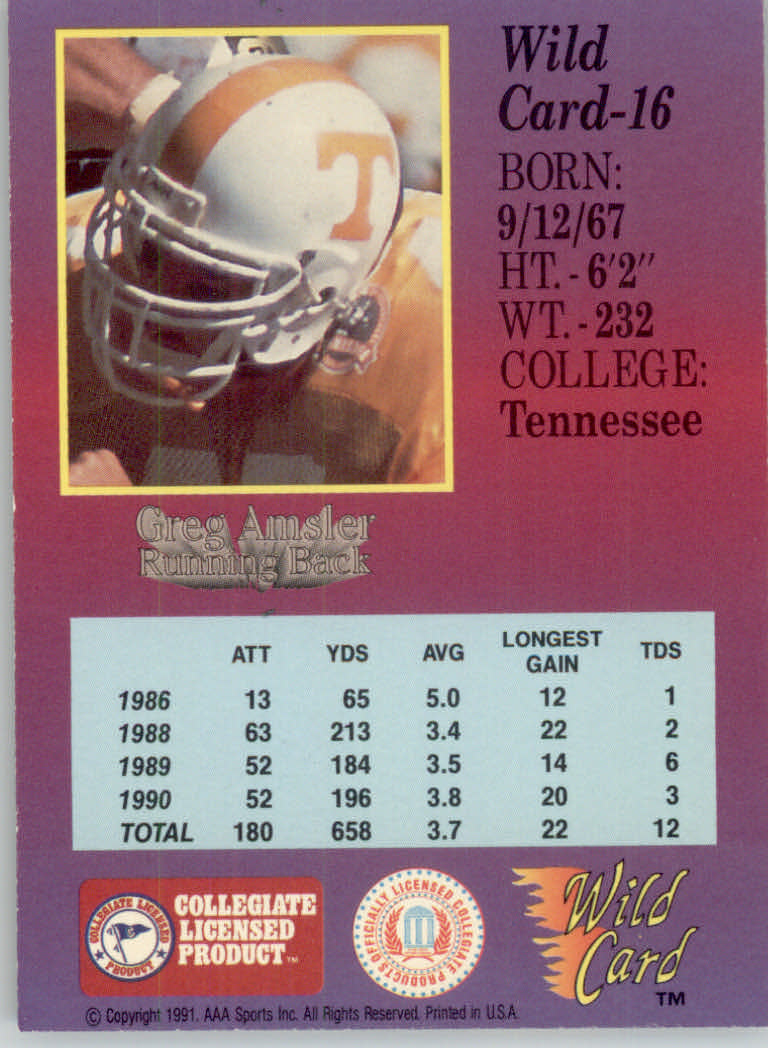 1991 Wild Card Draft 10 Stripe #16 Greg Amsler back image
