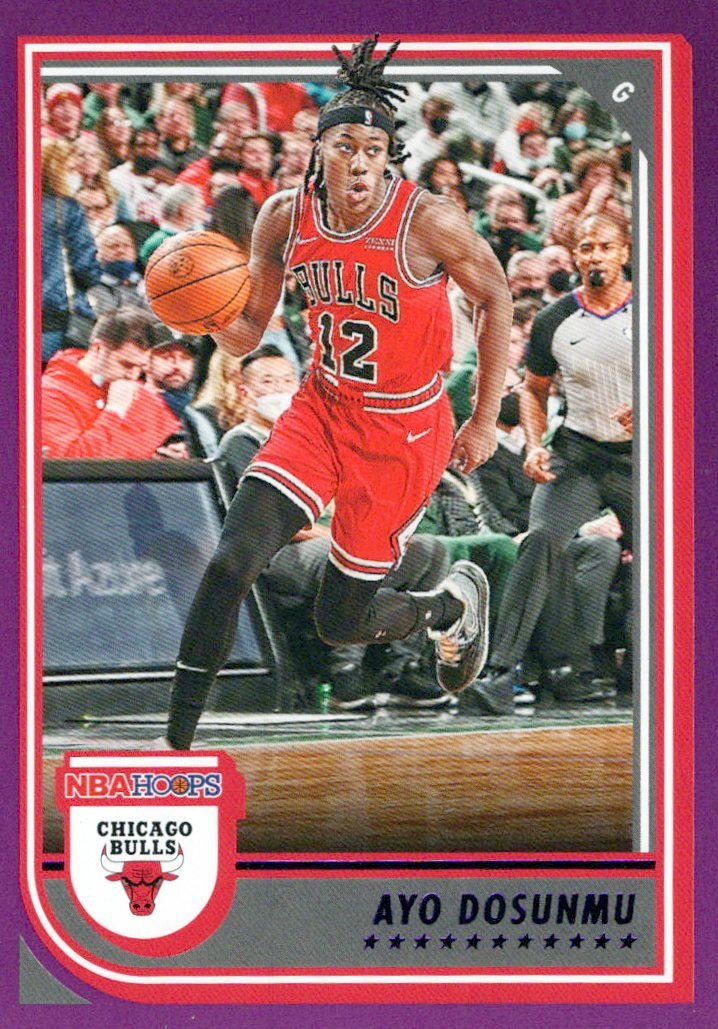  2022-23 Hoops #248 Dalen Terry RC Rookie Chicago Bulls