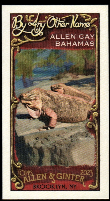 Topps Allen and Ginter Mini 2023 con cualquier otro nombre TÚ ELIGES - Imagen 14 de 25