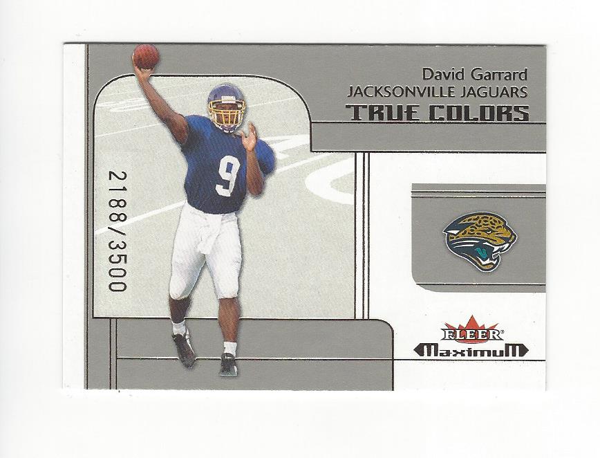2002 Fleer Maximum #262 David Garrard RC