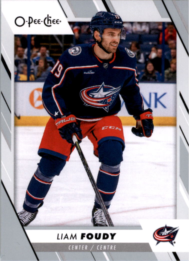 2023-24 O-Pee-Chee Hockey Card Pick (Base) 313-600