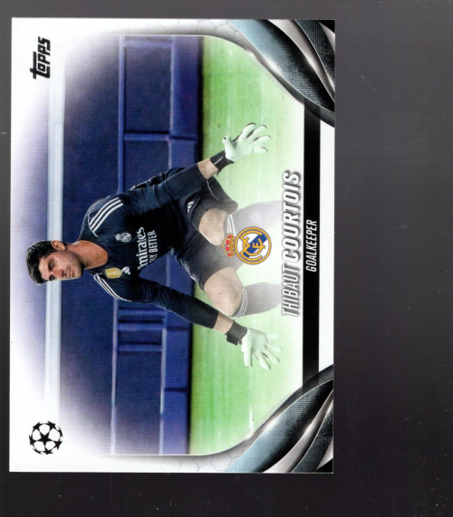 Bild 8 von 19