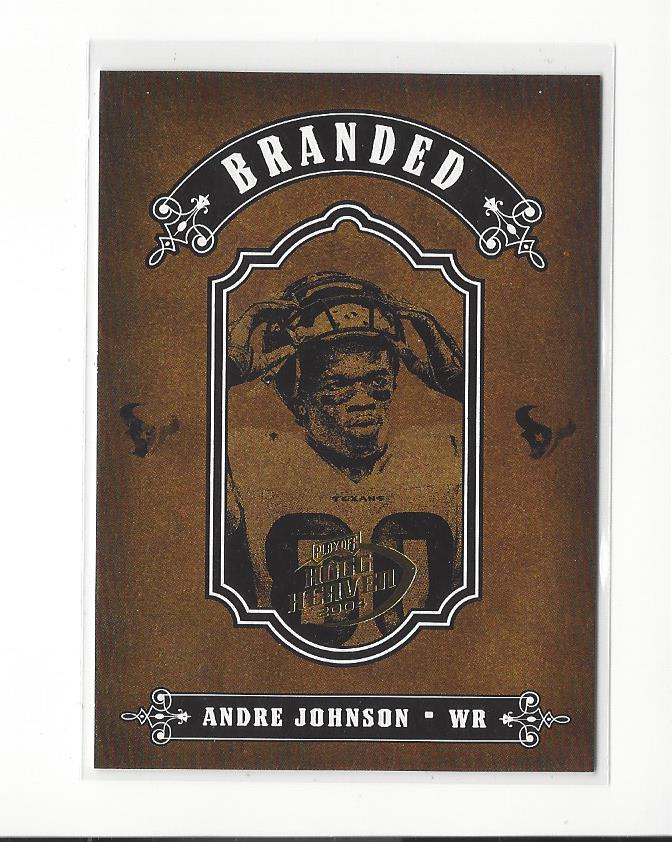 2004 Playoff Hogg Heaven Branded #B2 Andre Johnson