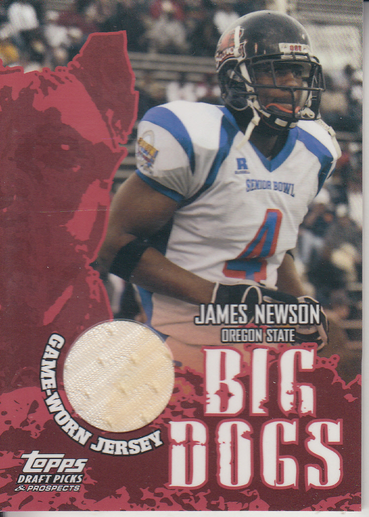 2004 Topps Draft Picks and Prospects Big Dog Relics #BDJNE James Newson E
