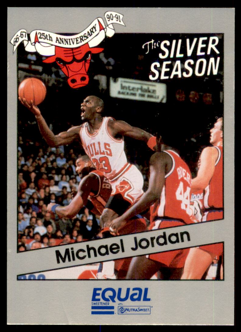 michael jordan 1991 bulls