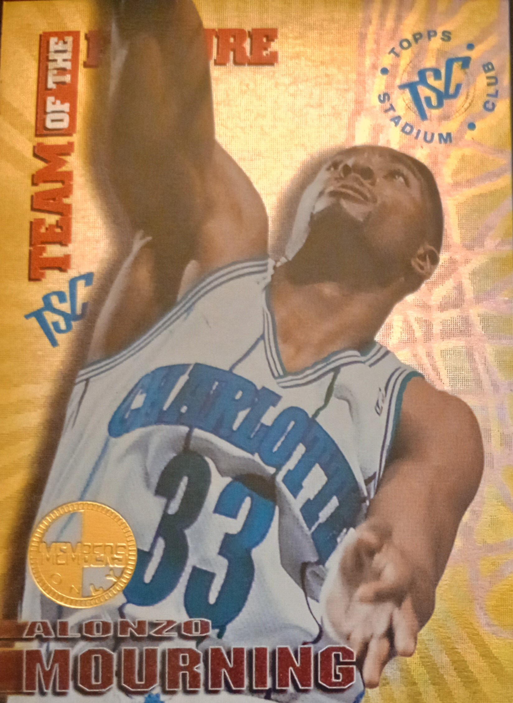 1994-95 Stadium Club Basketball Members Only Team of Future Singles - You Choose - Picture 11 of 11