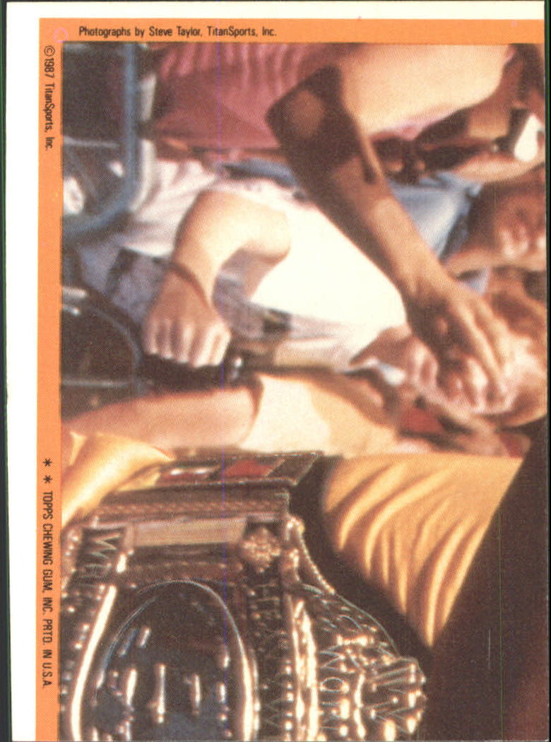 1987 Topps WWF Stickers #16 Danny Davis back image