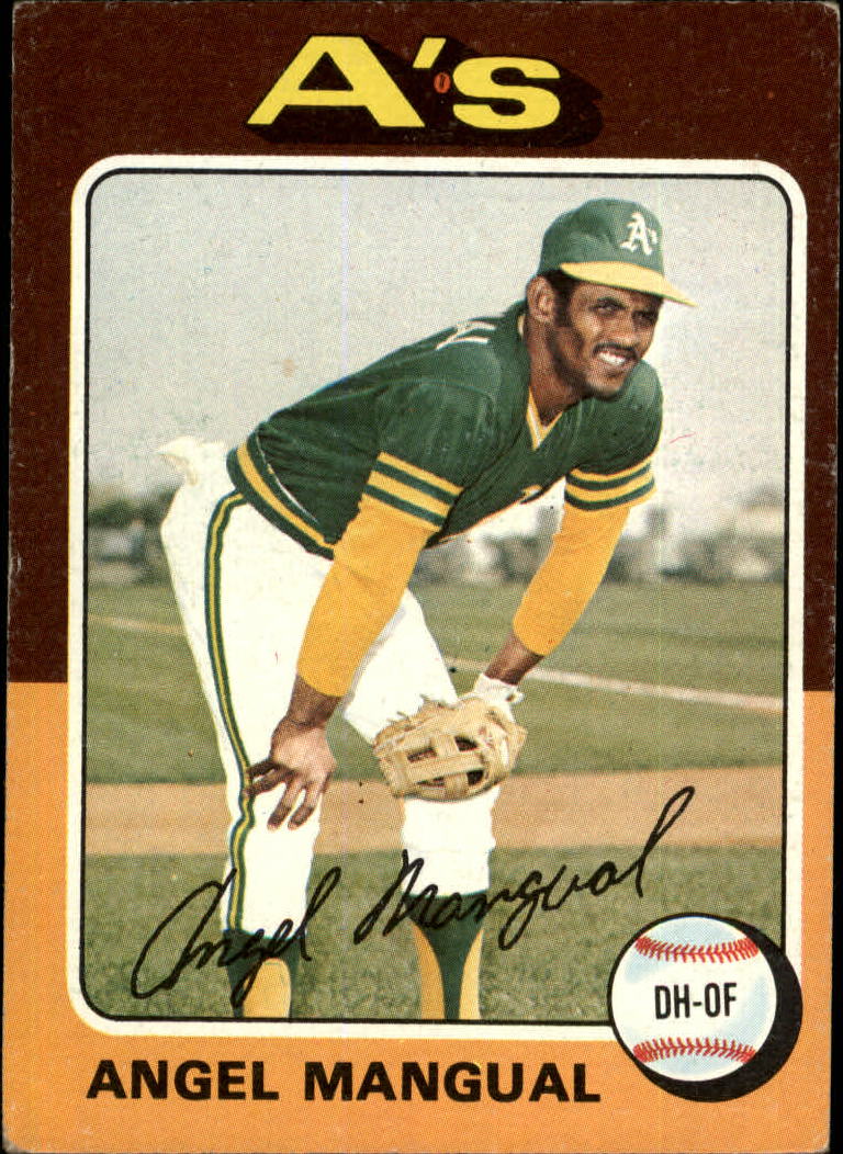 1975 TOPPS BASEBALL ASSORTED SINGLES U-PICK #412-506 - Picture 206 of 500