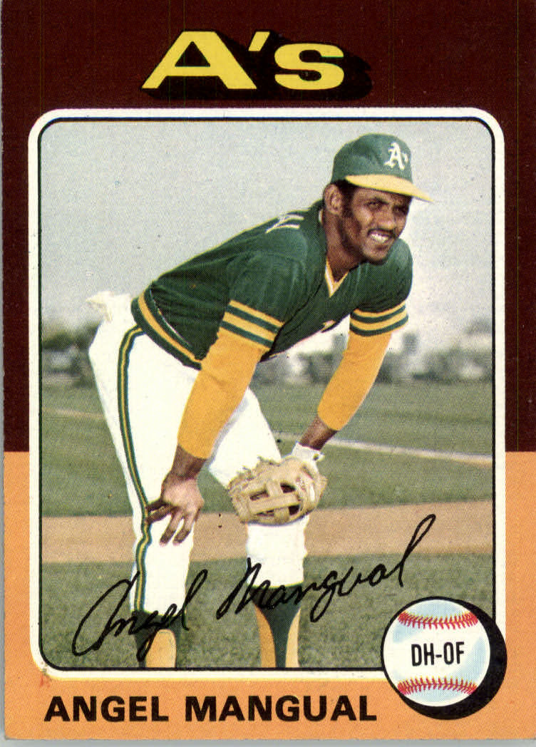 1975 TOPPS BASEBALL ASSORTED SINGLES U-PICK #412-506 - Picture 208 of 500