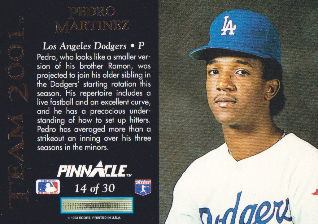 Authentic Pedro Martinez Los Angeles Dodgers 1993 Jersey - Shop