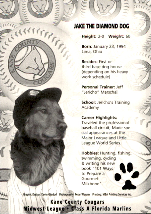 1996 Kane County Cougars Team Issue #14 Jake the Diamond Dog(Mascot) back image