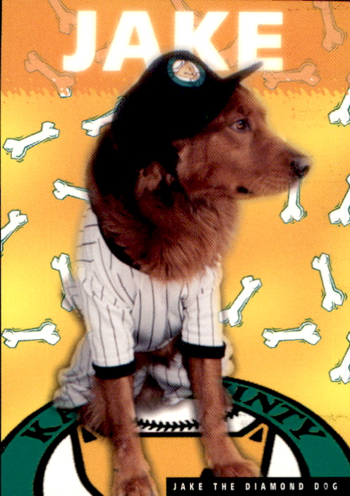 1996 Kane County Cougars Team Issue #14 Jake the Diamond Dog(Mascot)