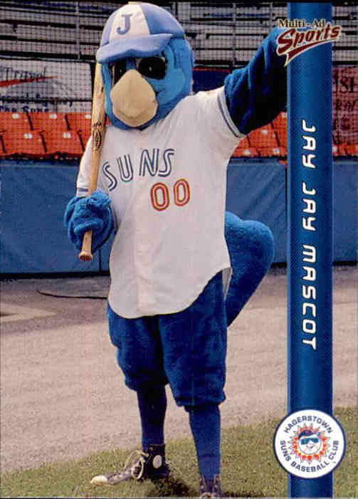 1999 Hagerstown Suns MultiAd 30 Jay Jay MASCOT NM Baseball Card eBay