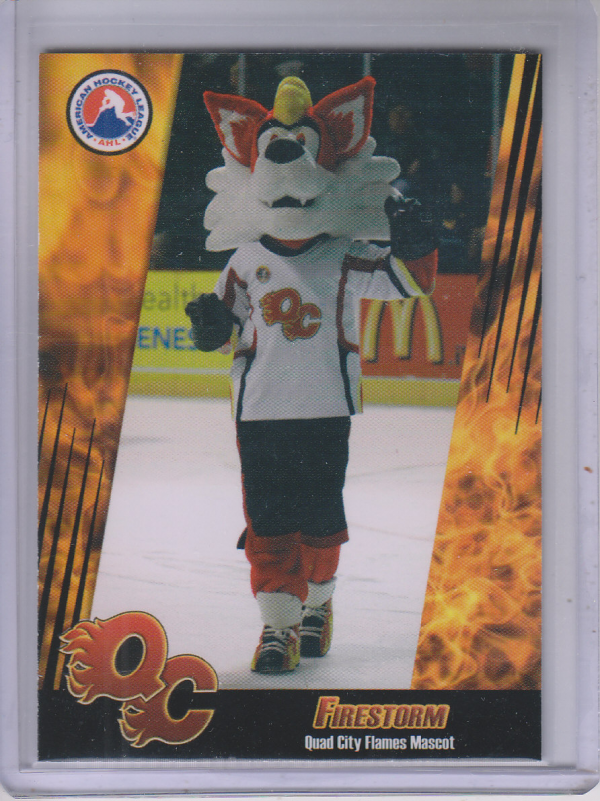 2007-08 Quad City Flames #25 Team Card