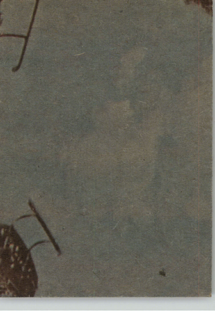 Picture 19 of 29