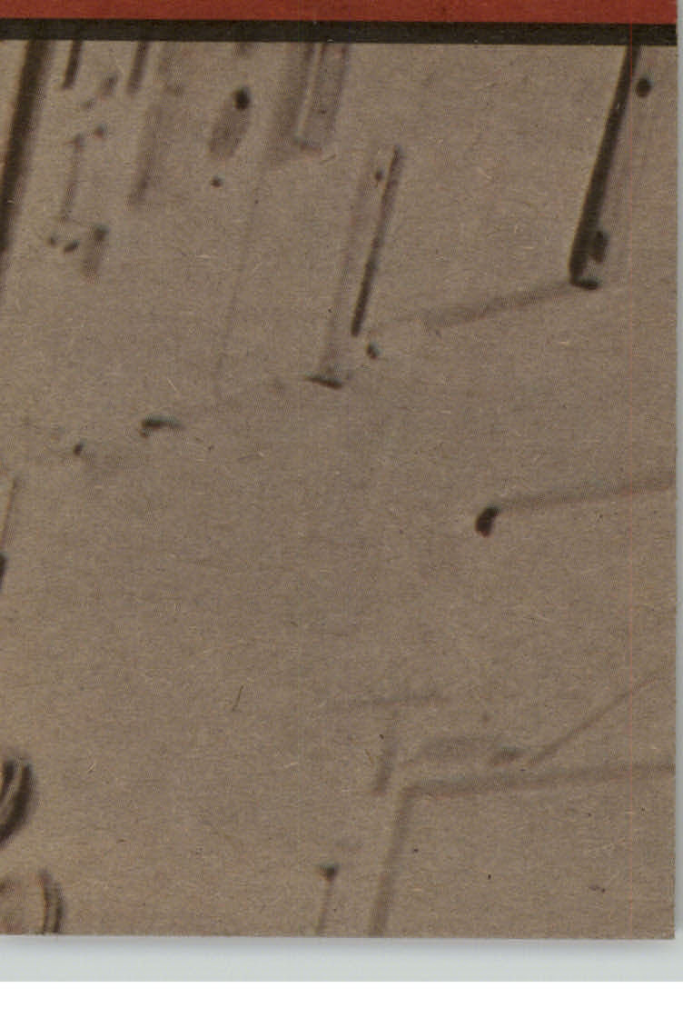 Picture 25 of 29