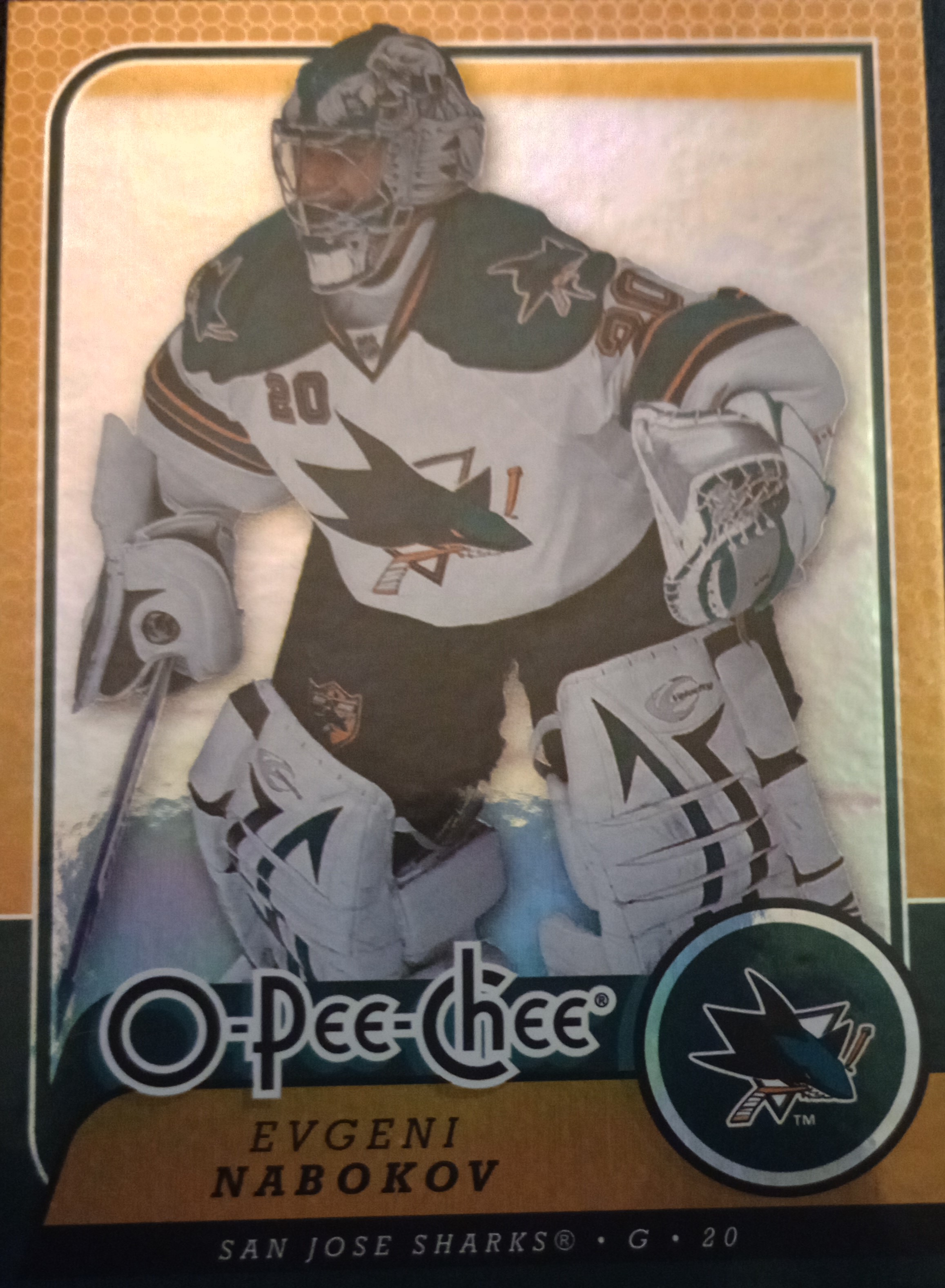 2008-09 O-Pee-Chee Hockey Gold Parallel Singles - You Choose - Picture 13 of 164