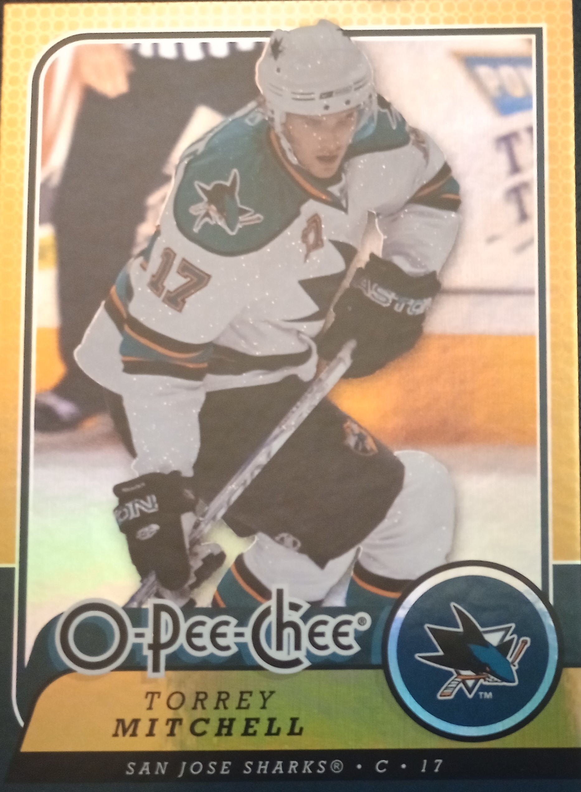 2008-09 O-Pee-Chee Hockey Gold Parallel Singles - You Choose - Picture 51 of 164