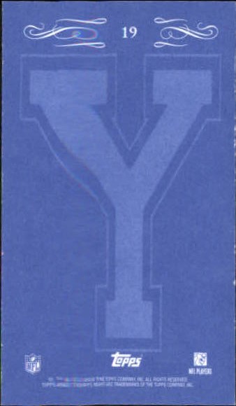 2008 Topps Mayo Mini Yale Blue Backs #19 Troy Williamson back image