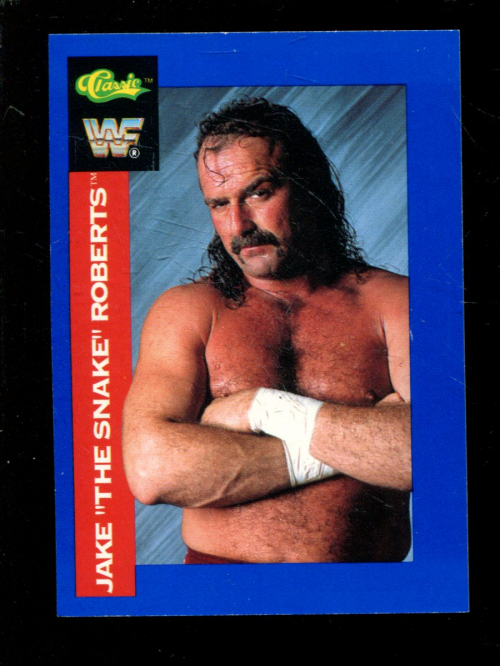 B1105- 1991 Classic WWF Superstars Wrestling 1-150 -You Pick- 15+ FREE US SHIP - Picture 3 of 110