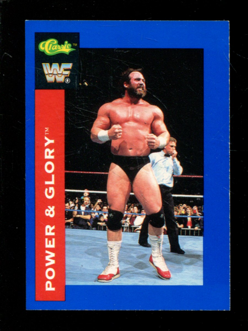 B1105- 1991 Classic WWF Superstars Wrestling 1-150 -You Pick- 15+ FREE US SHIP - Picture 8 of 110