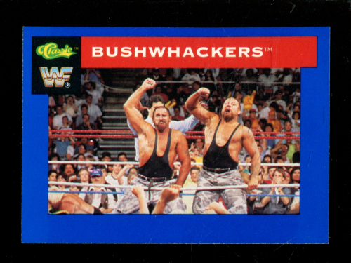 B1105 - 1991 Classic WWF Superstars Wrestling 1-150 -Sie wählen aus- 15+ KOSTENLOSER US-VERSAND - Bild 9 von 107