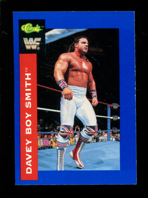 B1105- 1991 Classic WWF Superstars Wrestling 1-150 -You Pick- 15+ FREE US SHIP - Picture 11 of 110