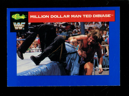 B1105 - 1991 Classic WWF Superstars Wrestling 1-150 -Sie wählen aus- 15+ KOSTENLOSER US-VERSAND - Bild 14 von 107