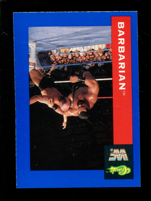 B1105- 1991 Classic WWF Superstars Wrestling 1-150 -You Pick- 15+ FREE US SHIP - Picture 16 of 110