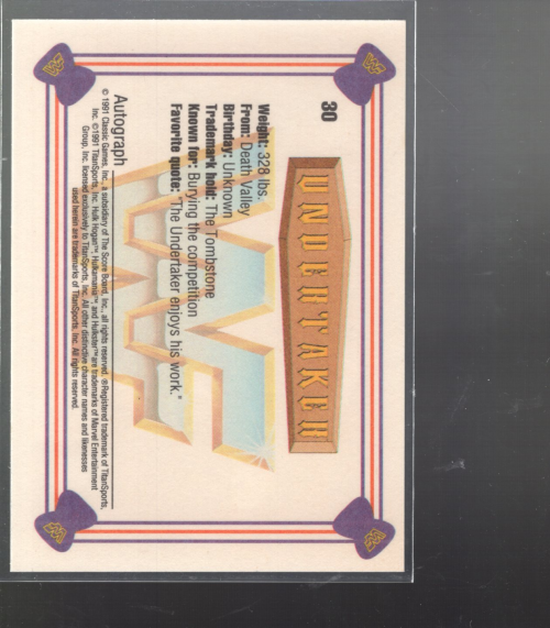 B1105 - 1991 Classic WWF Superstars Wrestling 1-150 -Sie wählen aus- 15+ KOSTENLOSER US-VERSAND - Bild 18 von 107