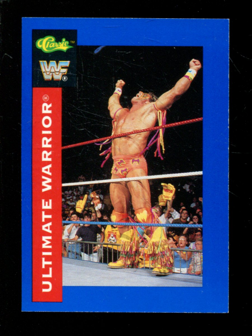 B1105- 1991 Classic WWF Superstars Wrestling 1-150 -You Pick- 15+ FREE US SHIP - Picture 21 of 110