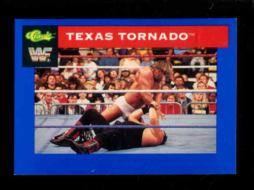 B1105 - 1991 Classic WWF Superstars Wrestling 1-150 -Sie wählen aus- 15+ KOSTENLOSER US-VERSAND - Bild 23 von 107