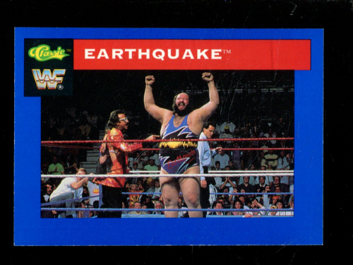 B1105 - 1991 Classic WWF Superstars Wrestling 1-150 -Sie wählen aus- 15+ KOSTENLOSER US-VERSAND - Bild 26 von 107