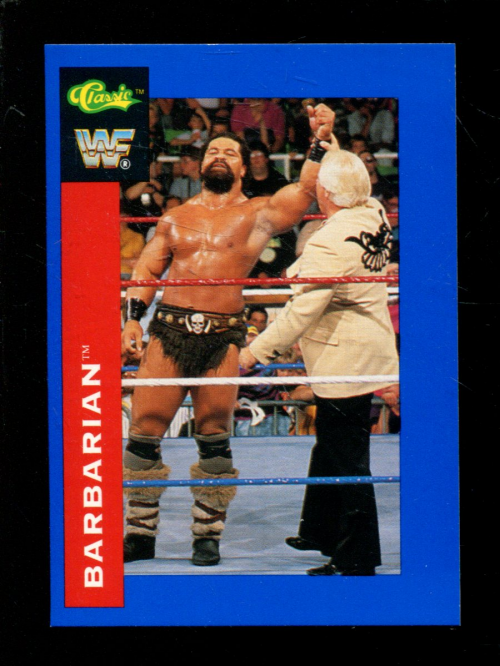 B1105- 1991 Classic WWF Superstars Wrestling 1-150 -You Pick- 15+ FREE US SHIP - Picture 36 of 110