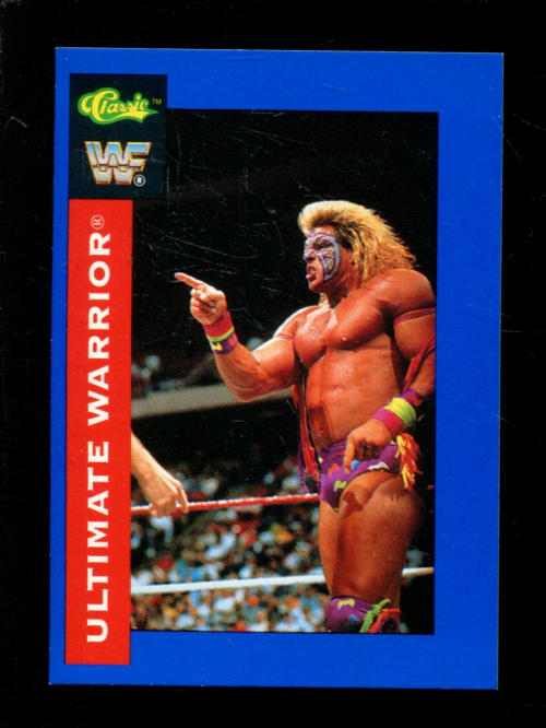 B1105- 1991 Classic WWF Superstars Wrestling 1-150 -You Pick- 15+ FREE US SHIP - Picture 42 of 110