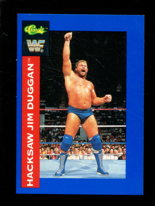 B1105- 1991 Classic WWF Superstars Wrestling 1-150 -You Pick- 15+ FREE US SHIP - Picture 43 of 110